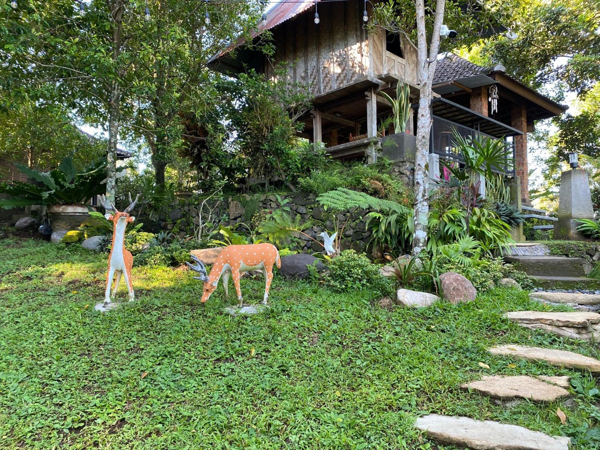 Mayong Bali Villa And Hostel Munduk Eksteriør bilde
